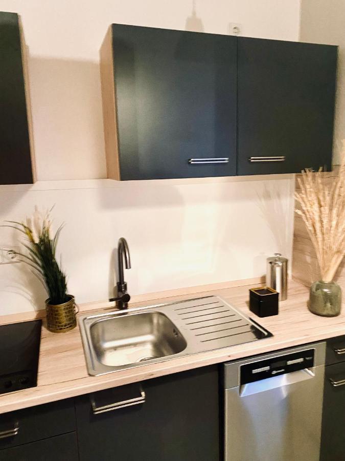Saniertes - Elisa - Mit Balkon, Wlan, Smart-tv & Kueche In City-naehe * Erfurt